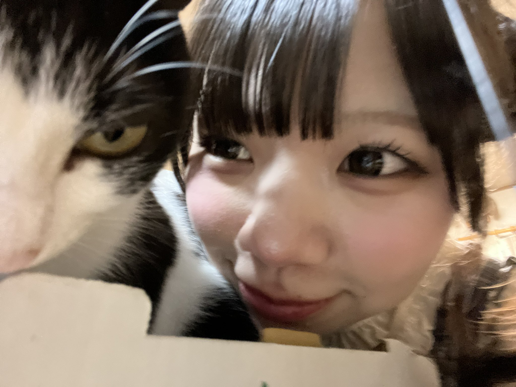 2026年10月5日、猫と一緒に写る天音いちか